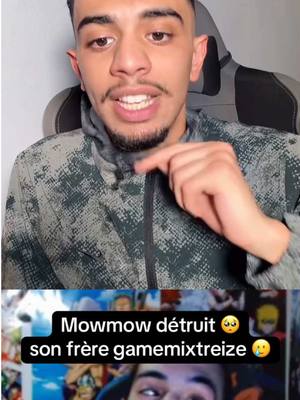 Cette histoire, c’est vraiment chaud, embrouille entre frères😔#gamemixtreizeof #mowmow #momo #fyp #pourtoi #frere 